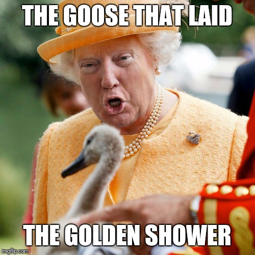 THE GOOSE THAT LAID; THE GOLDEN SHOWER | image tagged in goose | made w/ Imgflip meme maker