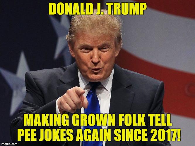 Donald trump | DONALD J. TRUMP; MAKING GROWN FOLK TELL PEE JOKES AGAIN SINCE 2017! | image tagged in donald trump | made w/ Imgflip meme maker