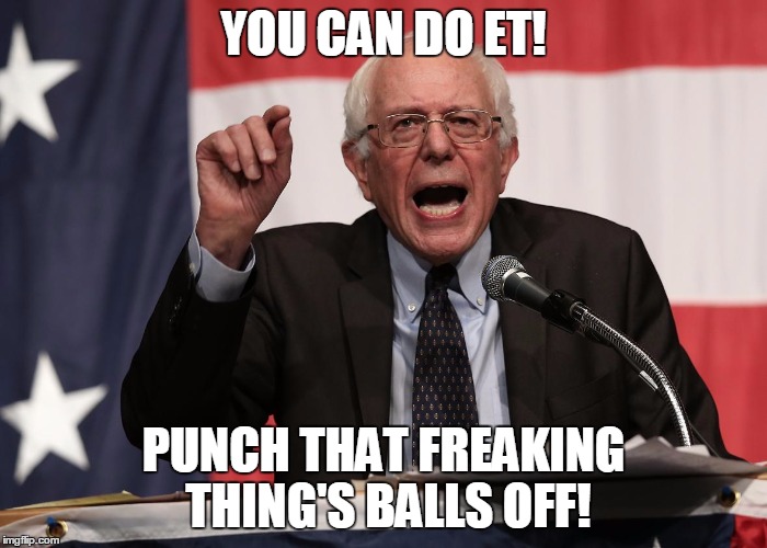 bernie point | YOU CAN DO ET! PUNCH THAT FREAKING THING'S BALLS OFF! | image tagged in bernie point | made w/ Imgflip meme maker