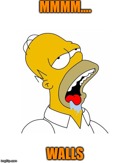 Homer Simpson Drooling | MMMM.... WALLS | image tagged in homer simpson drooling | made w/ Imgflip meme maker