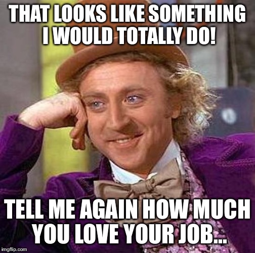 Creepy Condescending Wonka Meme | THAT LOOKS LIKE SOMETHING I WOULD TOTALLY DO! TELL ME AGAIN HOW MUCH YOU LOVE YOUR JOB... | image tagged in memes,creepy condescending wonka | made w/ Imgflip meme maker