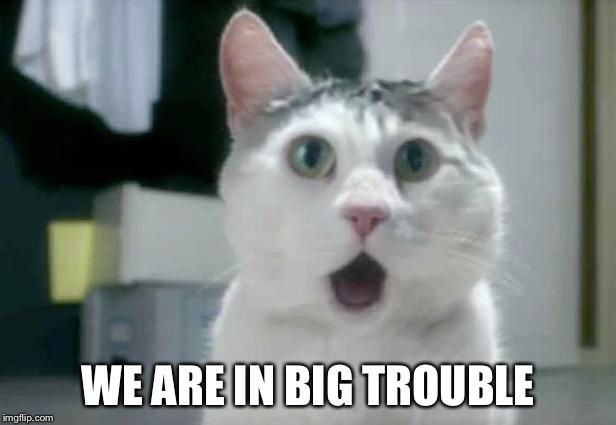 OMG Cat | WE ARE IN BIG TROUBLE | image tagged in omg cat | made w/ Imgflip meme maker