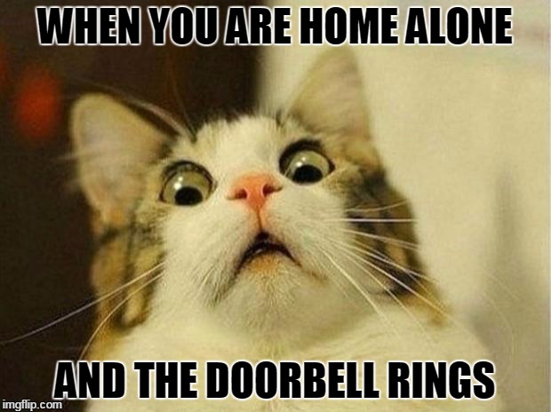 Scared Cat Meme | WHEN YOU ARE HOME ALONE; AND THE DOORBELL RINGS | image tagged in memes,scared cat | made w/ Imgflip meme maker