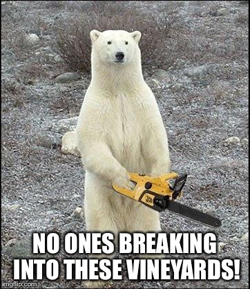 chainsaw polar bear | NO ONES BREAKING INTO THESE VINEYARDS! | image tagged in chainsaw polar bear | made w/ Imgflip meme maker