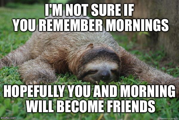 I am a big night owl too, sloth. | I'M NOT SURE IF YOU REMEMBER MORNINGS; HOPEFULLY YOU AND MORNING WILL BECOME FRIENDS | image tagged in sleeping sloth | made w/ Imgflip meme maker