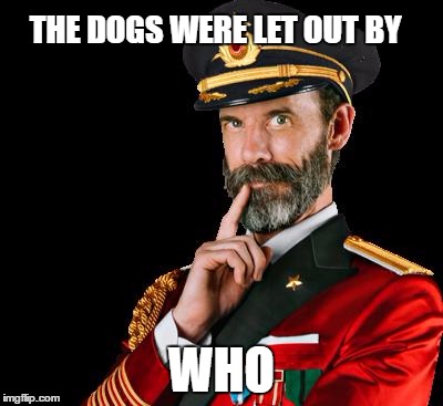 captain obvious-yep, WHO did it | THE DOGS WERE LET OUT BY; WHO | image tagged in captain obvious,memes,funny memes | made w/ Imgflip meme maker