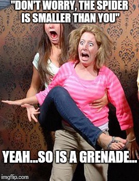 Scared | "DON'T WORRY, THE SPIDER IS SMALLER THAN YOU"; YEAH...SO IS A GRENADE... | image tagged in scared,scumbag | made w/ Imgflip meme maker