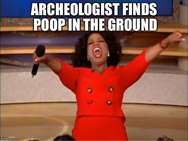 Oprah You Get A Meme | ARCHEOLOGIST FINDS POOP IN THE GROUND | image tagged in memes,oprah you get a | made w/ Imgflip meme maker