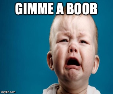 GIMME A BOOB | made w/ Imgflip meme maker