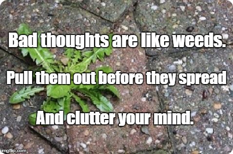 Weeds | Bad thoughts are like weeds. Pull them out before they spread; And clutter your mind. | image tagged in weeds | made w/ Imgflip meme maker
