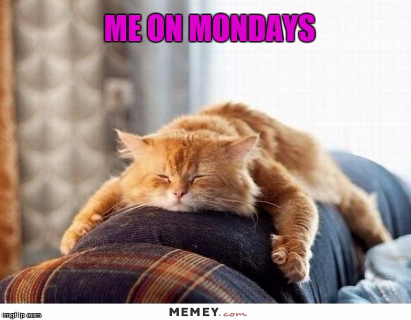 Lazy Cat | ME ON MONDAYS | image tagged in memes,cats | made w/ Imgflip meme maker