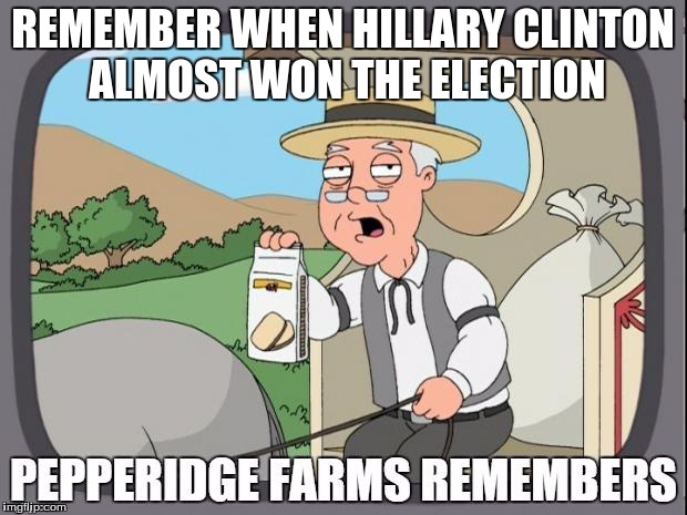 PEPPERIDGE FARMS REMEMBERS | REMEMBER WHEN HILLARY CLINTON ALMOST WON THE ELECTION | image tagged in pepperidge farms remembers | made w/ Imgflip meme maker