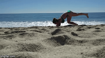 image tagged in gifs | made w/ Imgflip video-to-gif maker
