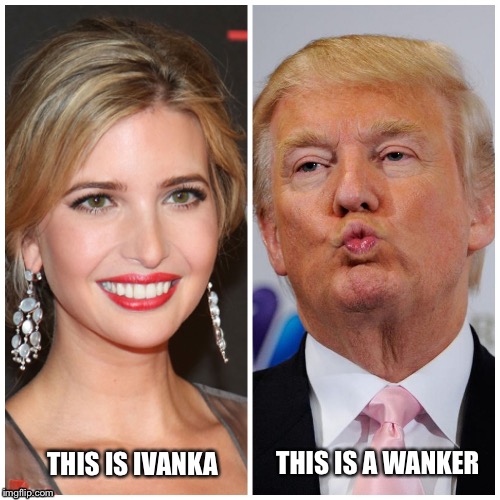THIS IS IVANKA; THIS IS A WANKER | image tagged in trump,ivanka,usa,president | made w/ Imgflip meme maker