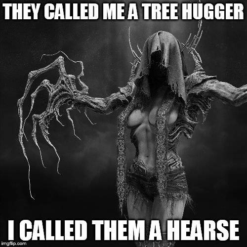 THEY CALLED ME A TREE HUGGER I CALLED THEM A HEARSE | made w/ Imgflip meme maker