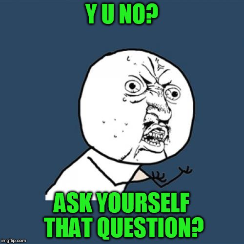 Y U No Meme | Y U NO? ASK YOURSELF THAT QUESTION? | image tagged in memes,y u no | made w/ Imgflip meme maker