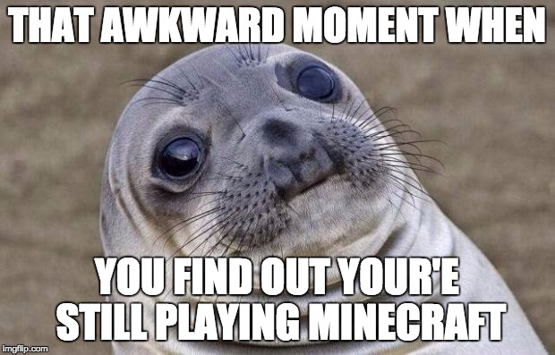 Awkward Moment Sealion | THAT AWKWARD MOMENT WHEN; YOU FIND OUT YOUR'E STILL PLAYING MINECRAFT | image tagged in memes,awkward moment sealion | made w/ Imgflip meme maker