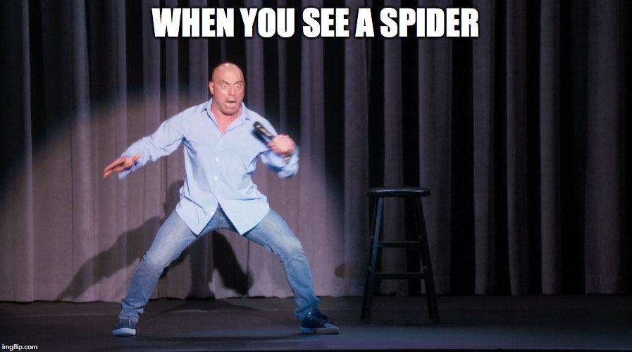 joe sees a spider | WHEN YOU SEE A SPIDER | image tagged in joe rogan | made w/ Imgflip meme maker