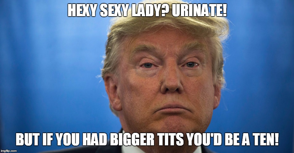 HEXY SEXY LADY? URINATE! BUT IF YOU HAD BIGGER TITS YOU'D BE A TEN! | image tagged in donald trump,trump | made w/ Imgflip meme maker