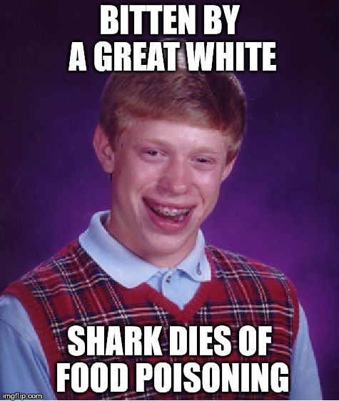 Bad Luck Brian Meme | BITTEN BY A GREAT WHITE; SHARK DIES OF FOOD POISONING | image tagged in memes,bad luck brian | made w/ Imgflip meme maker
