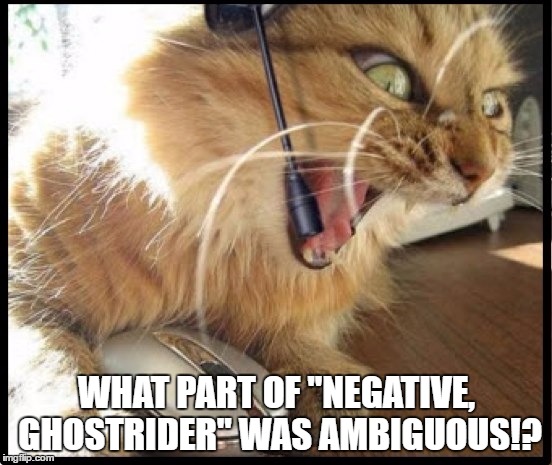 Y U NO LISTEN | WHAT PART OF "NEGATIVE, GHOSTRIDER" WAS AMBIGUOUS!? | image tagged in top gun,buzz,tower | made w/ Imgflip meme maker