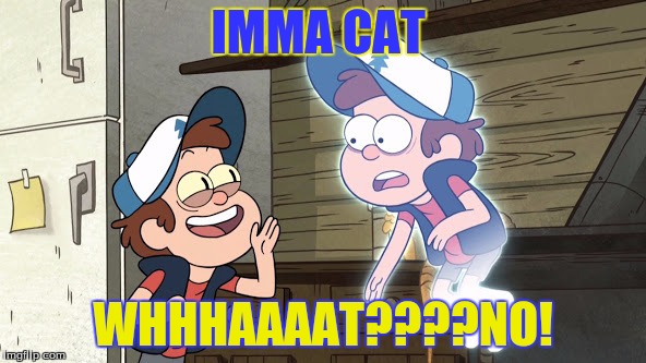 Guess What? Bipper (Bill) and Dipper | IMMA CAT; WHHHAAAAT????NO! | image tagged in guess what bipper bill and dipper | made w/ Imgflip meme maker