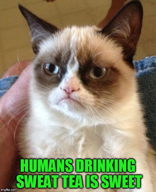 Grumpy Cat Meme | HUMANS DRINKING SWEAT TEA IS SWEET | image tagged in memes,grumpy cat | made w/ Imgflip meme maker