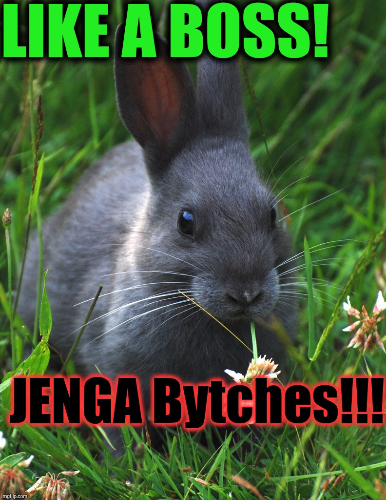 JENGA Like a BOSS!!! | LIKE A BOSS! JENGA Bytches!!! | image tagged in bunny-bunny bitches,jengabunny,kevin and bean,the most interesting man in yhe jungle,memes | made w/ Imgflip meme maker