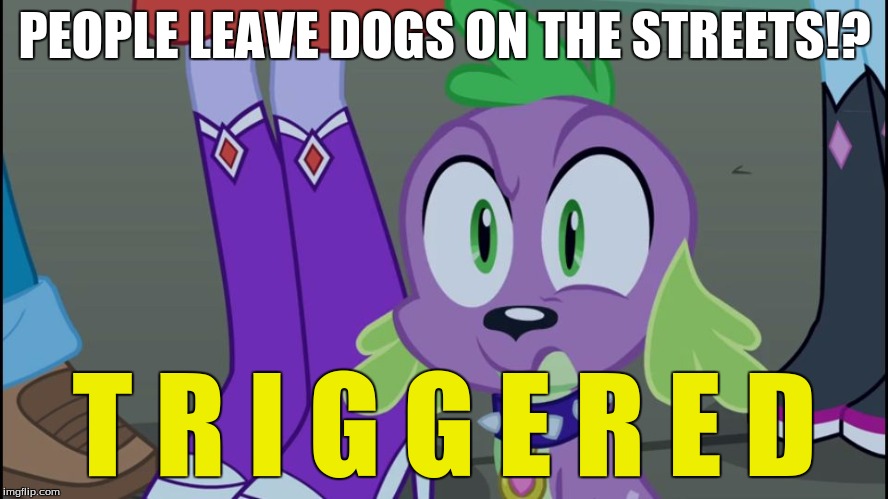 Animal abuse just about happens every day | PEOPLE LEAVE DOGS ON THE STREETS!? T R I G G E R E D | image tagged in mlp equestria girls spike da fuk | made w/ Imgflip meme maker