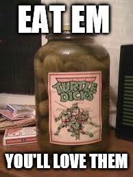 turtle dick pickles | EAT EM; YOU'LL LOVE THEM | image tagged in turtle dick pickles | made w/ Imgflip meme maker