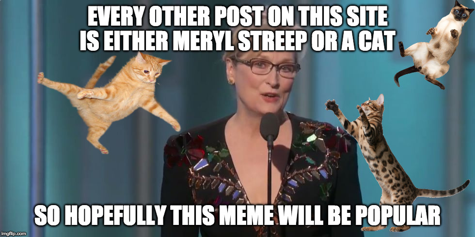 Meryl Streep | EVERY OTHER POST ON THIS SITE IS EITHER MERYL STREEP OR A CAT; SO HOPEFULLY THIS MEME WILL BE POPULAR | image tagged in meryl streep | made w/ Imgflip meme maker