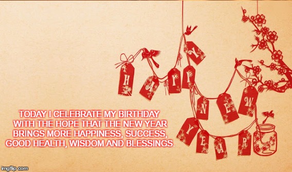TODAY I CELEBRATE MY BIRTHDAY WITH THE HOPE THAT THE NEW YEAR BRINGS MORE HAPPINESS, SUCCESS, GOOD HEALTH, WISDOM AND BLESSINGS. | image tagged in birthday celebration wish,new year,birthday | made w/ Imgflip meme maker