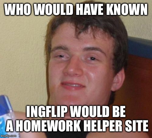 10 Guy Meme | WHO WOULD HAVE KNOWN INGFLIP WOULD BE A HOMEWORK HELPER SITE | image tagged in memes,10 guy | made w/ Imgflip meme maker