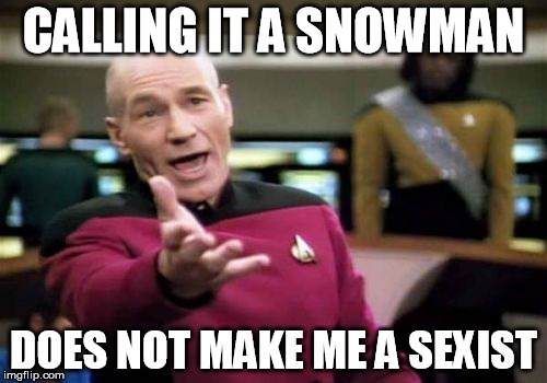 Picard Wtf | CALLING IT A SNOWMAN; DOES NOT MAKE ME A SEXIST | image tagged in memes,picard wtf | made w/ Imgflip meme maker