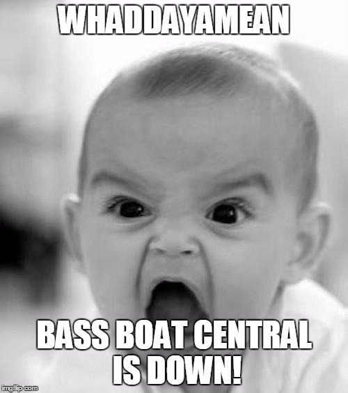 mad baby | WHADDAYAMEAN; BASS BOAT CENTRAL IS DOWN! | image tagged in mad baby | made w/ Imgflip meme maker