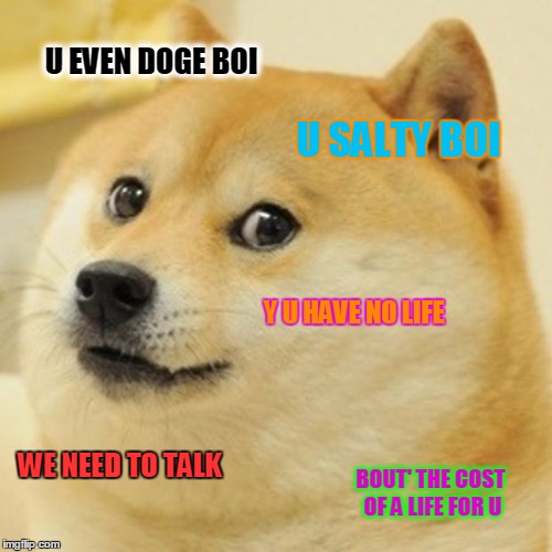 Doge Meme | U EVEN DOGE BOI; U SALTY BOI; Y U HAVE NO LIFE; WE NEED TO TALK; BOUT' THE COST OF A LIFE FOR U | image tagged in memes,doge | made w/ Imgflip meme maker