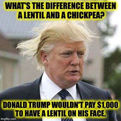 Donald Trump | WHAT'S THE DIFFERENCE BETWEEN A LENTIL AND A CHICKPEA? DONALD TRUMP WOULDN'T PAY $1,000 TO HAVE A LENTIL ON HIS FACE. | image tagged in donald trump | made w/ Imgflip meme maker