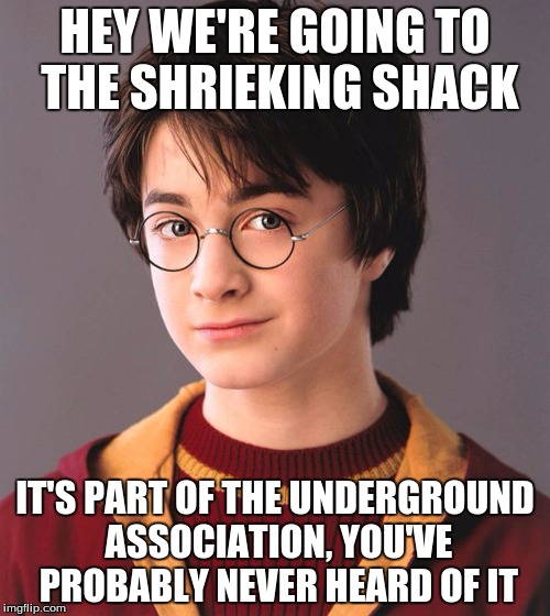 Harry Potter | HEY WE'RE GOING TO THE SHRIEKING SHACK; IT'S PART OF THE UNDERGROUND ASSOCIATION, YOU'VE PROBABLY NEVER HEARD OF IT | image tagged in harry potter | made w/ Imgflip meme maker