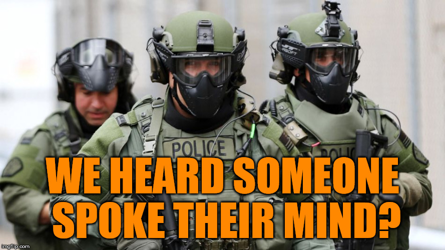 SWAT | WE HEARD SOMEONE SPOKE THEIR MIND? | image tagged in swat | made w/ Imgflip meme maker