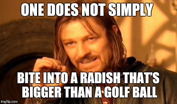 Why do they grow them so huge?How do they grow them that huge? | ONE DOES NOT SIMPLY; BITE INTO A RADISH THAT’S BIGGER THAN A GOLF BALL | image tagged in memes,one does not simply,radish,vegetables,oversized produce | made w/ Imgflip meme maker