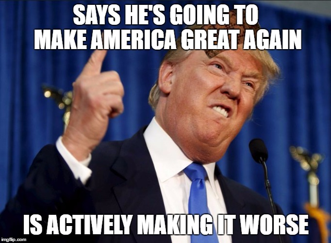 Scumbag trump | SAYS HE'S GOING TO MAKE AMERICA GREAT AGAIN; IS ACTIVELY MAKING IT WORSE | image tagged in scumbag trump,scumbag | made w/ Imgflip meme maker