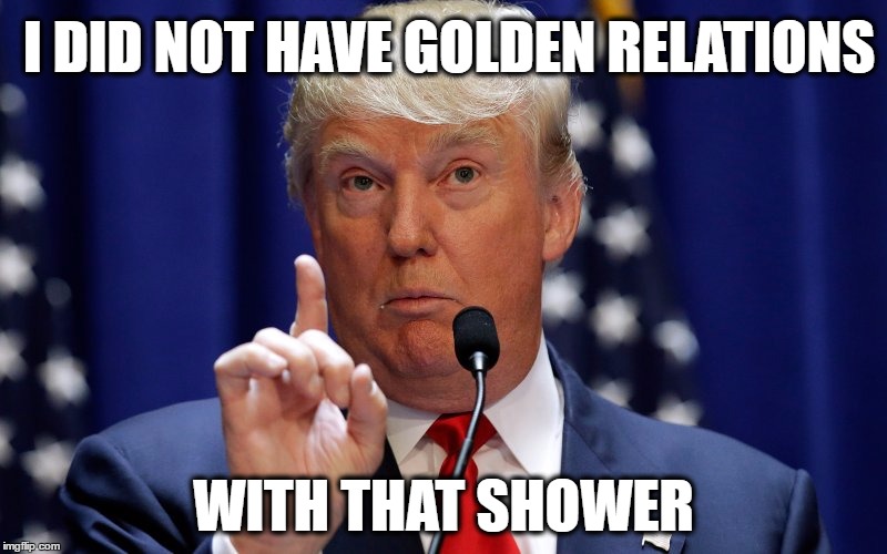 Donald Trump | I DID NOT HAVE GOLDEN RELATIONS; WITH THAT SHOWER | image tagged in donald trump | made w/ Imgflip meme maker