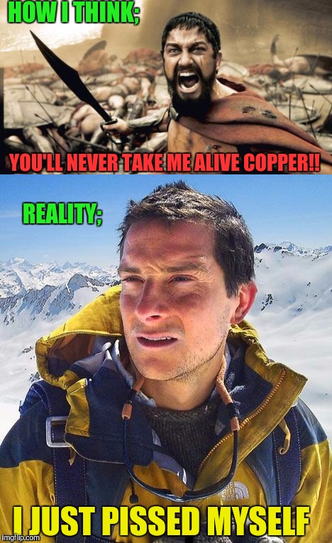 HOW I THINK; YOU'LL NEVER TAKE ME ALIVE COPPER!! I JUST PISSED MYSELF REALITY; | made w/ Imgflip meme maker