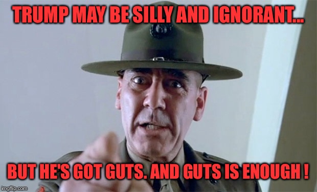 Guts is enough ! | TRUMP MAY BE SILLY AND IGNORANT... BUT HE'S GOT GUTS. AND GUTS IS ENOUGH ! | image tagged in trump,donald trump,political,biased media,obama | made w/ Imgflip meme maker