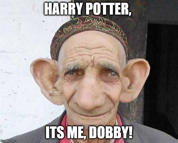 HARRY POTTER, ITS ME, DOBBY! | image tagged in harry potter goblin | made w/ Imgflip meme maker