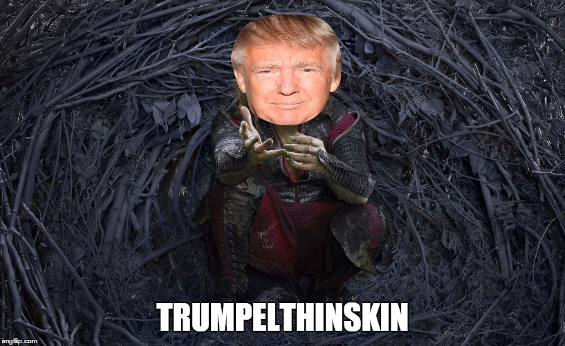 TRUMPelTHINSKIN | TRUMPELTHINSKIN | image tagged in donald trump,funny,sad | made w/ Imgflip meme maker