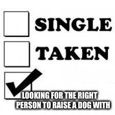 Single Taken Priorities | LOOKING FOR THE RIGHT           PERSON TO RAISE A DOG WITH | image tagged in single taken priorities | made w/ Imgflip meme maker