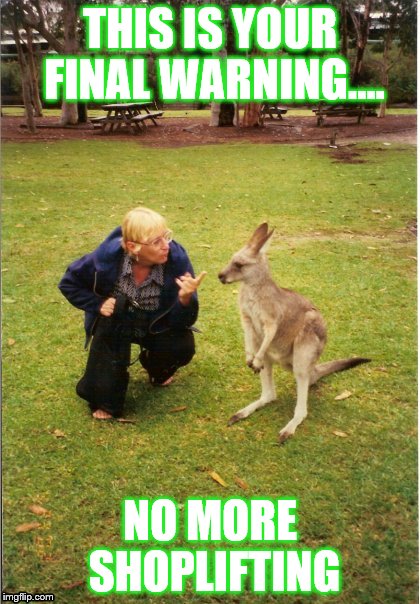 This is your final warning......No more shoplifting | THIS IS YOUR FINAL WARNING.... NO MORE SHOPLIFTING | image tagged in kangaroo | made w/ Imgflip meme maker