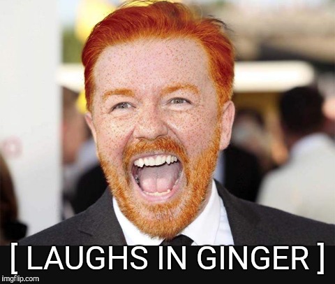 Laughs in ginger  | [ LAUGHS IN GINGER ] | image tagged in ginger | made w/ Imgflip meme maker