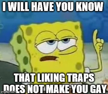 I'll Have You Know Spongebob Meme | I WILL HAVE YOU KNOW; THAT LIKING TRAPS DOES NOT MAKE YOU GAY | image tagged in memes,ill have you know spongebob | made w/ Imgflip meme maker